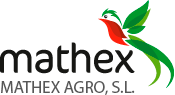 Mathex